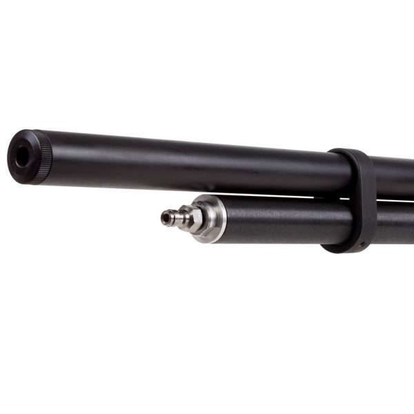 Benjamin | Fortitude Gen2PCP-05